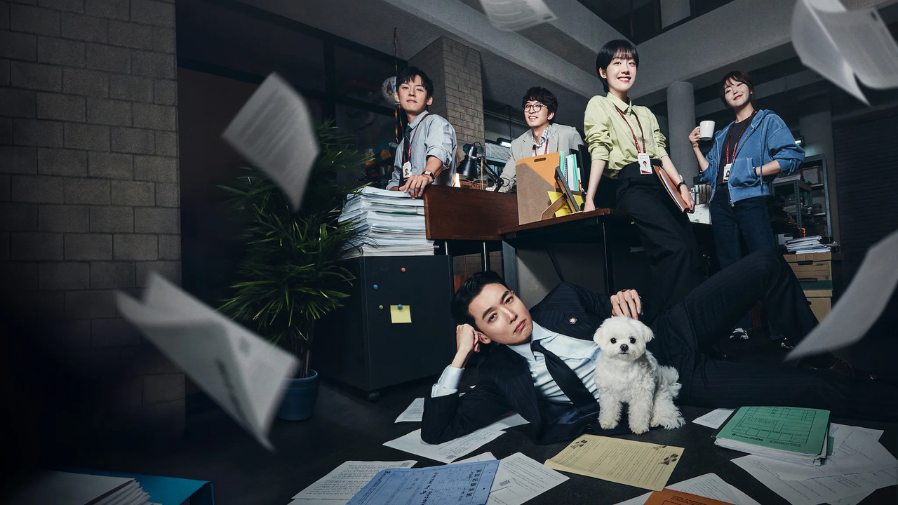 公益律师12集全